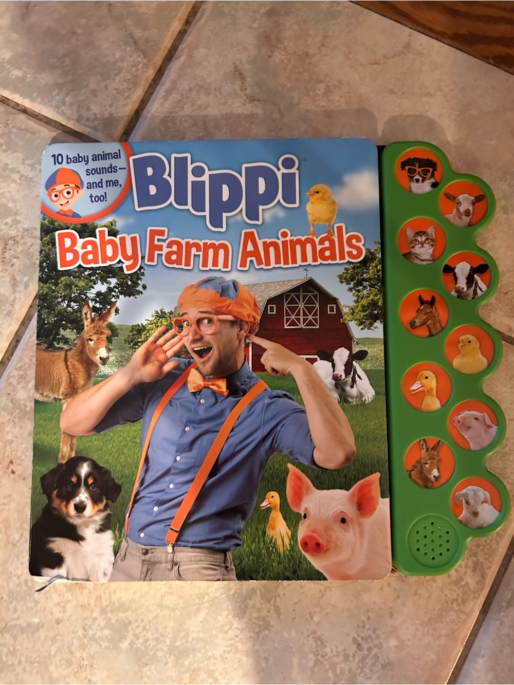 Blippi Baby Farm Animals Sound Book - Blue/Green